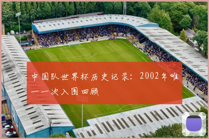 中国队世界杯历史记录：2002年唯一一次入围回顾
