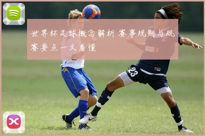 世界杯足球概念解析 赛事规则与观赛要点一文看懂