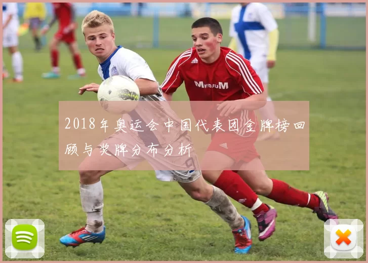 2018年奥运会中国代表团金牌榜回顾与奖牌分布分析