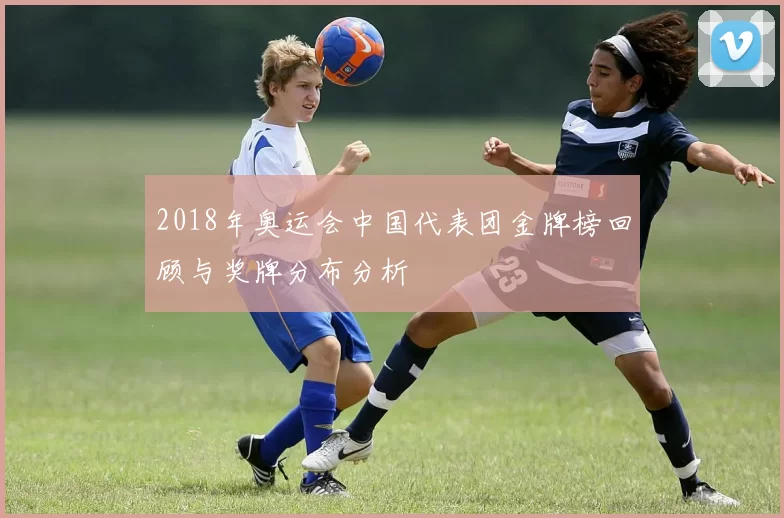 2018年奥运会中国代表团金牌榜回顾与奖牌分布分析