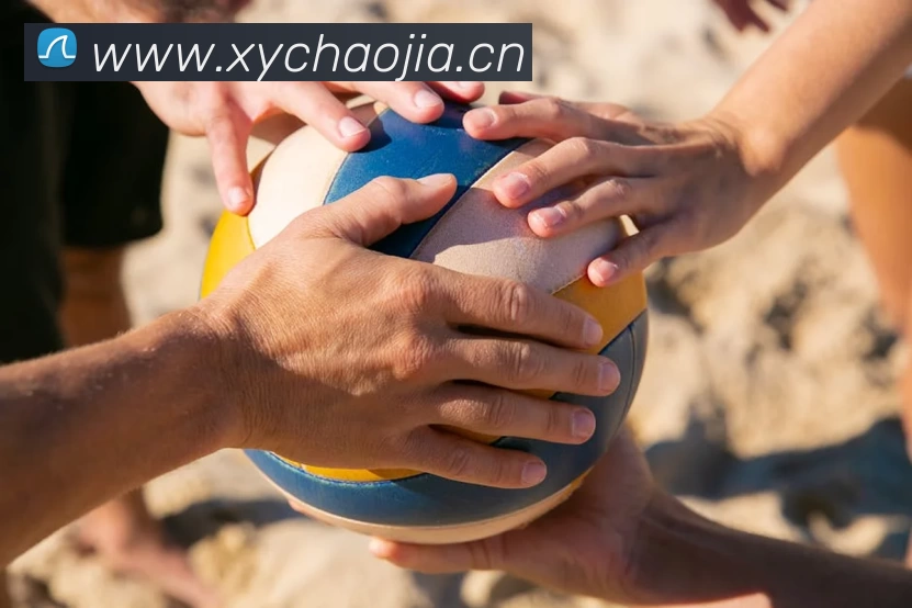 App Interface Preview